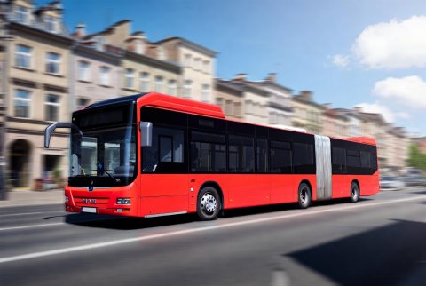 Auto Rad Controlle Miejskie — ogłoszenie demo